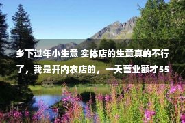 乡下过年小生意 实体店的生意真的不行了，我是开内衣店的，一天营业额才55块。