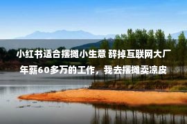 小红书适合摆摊小生意 辞掉互联网大厂年薪60多万的工作，我去摆摊卖凉皮