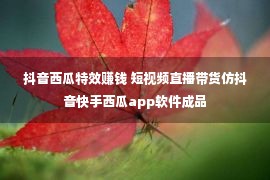 抖音西瓜特效赚钱 短视频直播带货仿抖音快手西瓜app软件成品