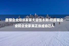 民营企业经济发展大会佳木斯:把民营企业和企业家真正当成自己人