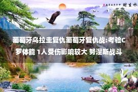 葡萄牙乌拉圭复仇葡萄牙复仇战:考验C罗体能 1人受伤影响较大 努涅斯战斗