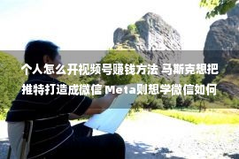 个人怎么开视频号赚钱方法 马斯克想把推特打造成微信 Meta则想学微信如何赚大钱