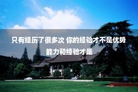 只有经历了很多次 你的经验才不是优势 能力和经验才是