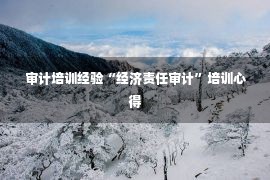 审计培训经验“经济责任审计”培训心得