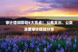 审计培训经验8大亮点！ 公务支出、公款消费审计经验分享