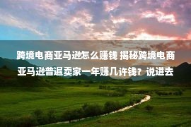 跨境电商亚马逊怎么赚钱 揭秘跨境电商亚马逊普遍卖家一年赚几许钱？说进去你大概没有信