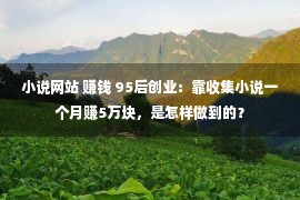 小说网站 赚钱 95后创业：靠收集小说一个月赚5万块，是怎样做到的？