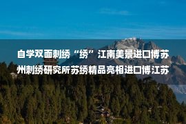 自学双面刺绣“绣”江南美景进口博苏州刺绣研究所苏绣精品亮相进口博江苏馆