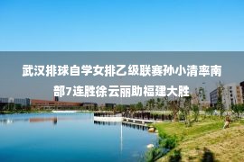 武汉排球自学女排乙级联赛孙小清率南部7连胜徐云丽助福建大胜