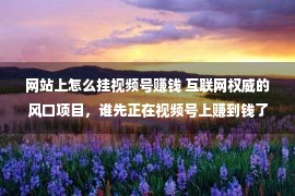 网站上怎么挂视频号赚钱 互联网权威的风口项目，谁先正在视频号上赚到钱了？