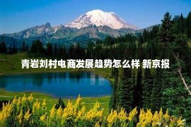 青岩刘村电商发展趋势怎么样 新京报