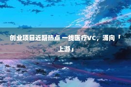 创业项目近期热点 一线医疗VC，涌向「上游」