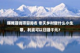 摆摊赚钱项目排名 冬天乡村做什么小生意，利润可以日赚千元？