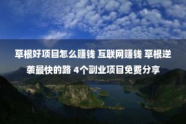 草根好项目怎么赚钱 互联网赚钱 草根逆袭最快的路 4个副业项目免费分享