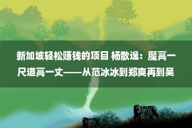 新加坡轻松赚钱的项目 杨散逸：魔高一尺道高一丈——从范冰冰到郑爽再到吴亦凡，看逃税技术迭代