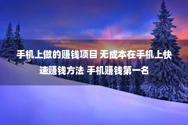 手机上做的赚钱项目 无成本在手机上快速赚钱方法 手机赚钱第一名