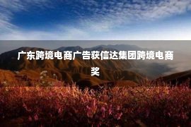 广东跨境电商广告获信达集团跨境电商奖