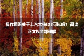 操作团购关于上汽大侠ID3可以吗？ 阅读正文以全部理解