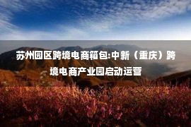 苏州园区跨境电商箱包:中新（重庆）跨境电商产业园启动运营