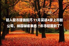 初入股市赚钱技巧 11月买进4家上市新公司，林园秘密表态“牛市初期到了”