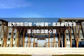 图为治愈日常“柠檬黄”志愿者日常生活 治愈温暖心灵