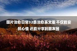 图片治愈日常32条治愈系文案 不仅能安抚心情 还能分享到朋友圈