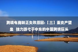 跨境电商转正失败原因:【三】重资产壁垒   独力游弋于中东的中国跨境巨头