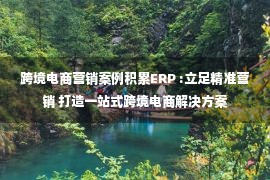 跨境电商营销案例积累ERP :立足精准营销 打造一站式跨境电商解决方案