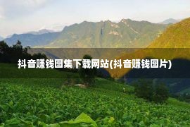 抖音赚钱图集下载网站(抖音赚钱图片)