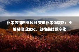 积木店铺创业项目 变形积木张轶然：不怕装修没文化，就怕装修数字化