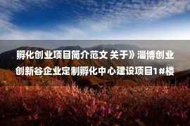 孵化创业项目简介范文 关于》淄博创业创新谷企业定制孵化中心建设项目1#楼2#楼装饰工程