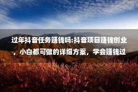 过年抖音任务赚钱吗:抖音项目赚钱创业，小白都可做的详细方案，学会赚钱过年不是梦