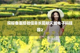 投标备案经验信息长阳航天城电子科技园2