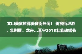 文山美食推荐美食街热闹！ 美食街巡游、壮剧展、龙舟…富宁2018壮族珐端节开街！ (视频)