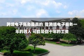 跨境电子商务是真的  我跨境电子商务一年的收入 可能是你十年的工资