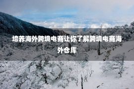 培养海外跨境电商让你了解跨境电商海外仓库