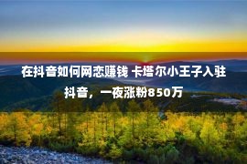 在抖音如何网恋赚钱 卡塔尔小王子入驻抖音，一夜涨粉850万