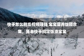 快手怎么刷瓜视频赚钱 宝宝营养饭团合集，简单快手搞定饭渣宝宝