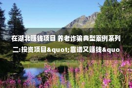 在湖北赚钱项目 养老诈骗典型案例系列二:投资项目"靠谱又赚钱"?别信!