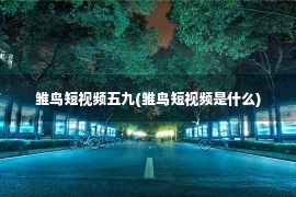 雏鸟短视频五九(雏鸟短视频是什么)