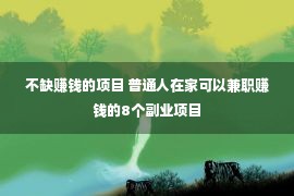 不缺赚钱的项目 普通人在家可以兼职赚钱的8个副业项目