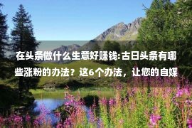 在头条做什么生意好赚钱:古日头条有哪些涨粉的办法？这6个办法，让您的自媒体更赔钱