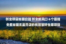 创业项目加盟价钱 创业新风口 6个赚钱免费加盟无需开店的有前景好生意项目推荐