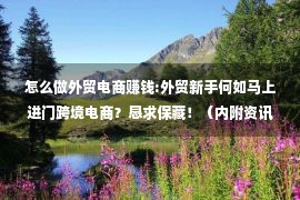 怎么做外贸电商赚钱:外贸新手何如马上进门跨境电商？恳求保藏！（内附资讯网站）