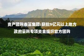 资产团购泰富集团:获批9亿元以上地方政府采购专项资金组织官方团购