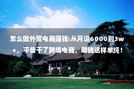 怎么做外贸电商赚钱:从月进6000到3w+，平昔干了跨境电商，赔钱这样单纯！