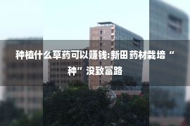 种植什么草药可以赚钱:新田药材栽培“种”没致富路