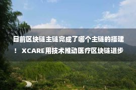 目前区块链主链完成了哪个主链的搭建！ XCARE用技术推动医疗区块链进步