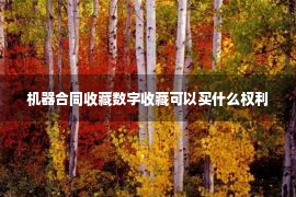 机器合同收藏数字收藏可以买什么权利