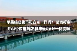 苹果嘀嗒货币和安卓一样吗？ 嘀嘀打车开APP应用商店 和华米OV分一杯羹吗？